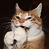 Avatar von Pitty68