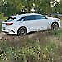Avatar von ProCeed1008