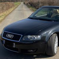 Avatar von Professor-Bienlein