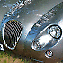 Avatar von radl72
