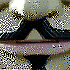 Avatar von Ramon77
