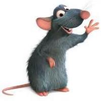Avatar von Ratoncita