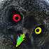 Avatar von retniw