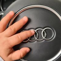 Avatar von schranzflash