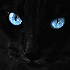 Avatar von Scratch06