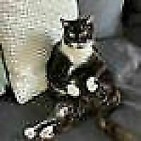 Avatar von singsalex