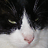 Avatar von sluffi