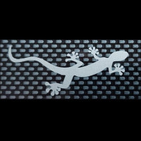 Avatar von spaceship A6