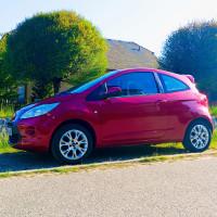 Avatar von Spaghettimonster