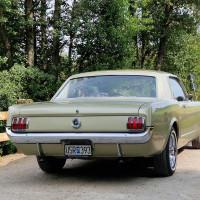 Avatar von SpyderRyder