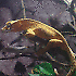 Avatar von Sunnyjan