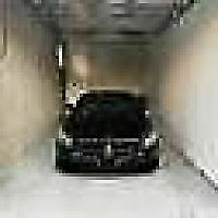 Avatar von sunseeeker