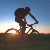 Avatar von Thekit