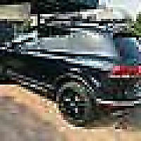 Avatar von Timberjack41