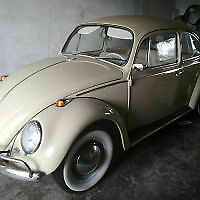 Avatar von tinuslias