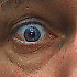 tobias37