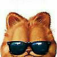 Avatar von Tracer61