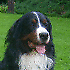 Avatar von versoblau