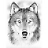Avatar von woelfen