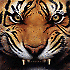 Avatar von Xure