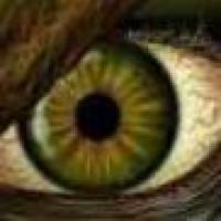 Avatar von Zimpalazumpala